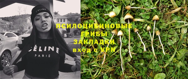 PSILOCYBIN Арсеньев