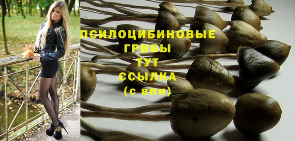 a pvp Армянск