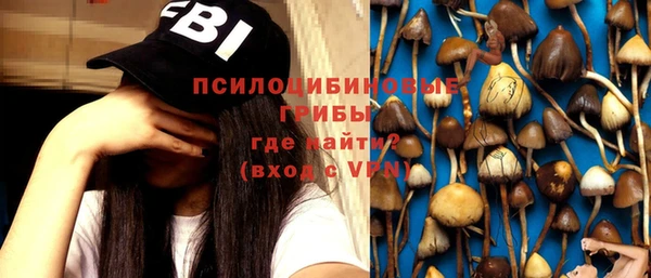 PSILOCYBIN Арсеньев