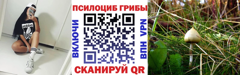 Галлюциногенные грибы Psilocybine cubensis  Бахчисарай 